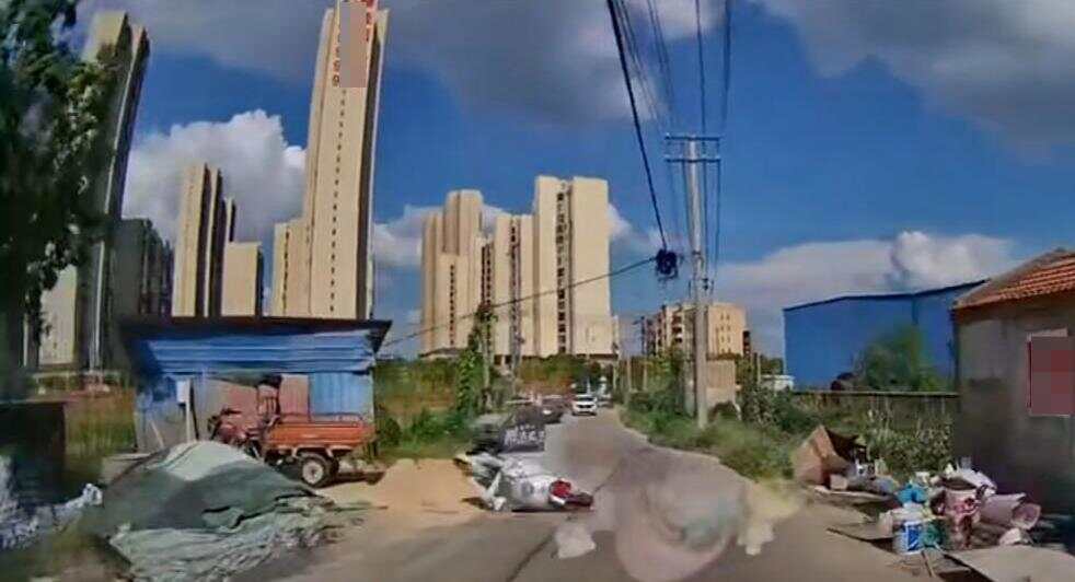 娱乐生活 第38页