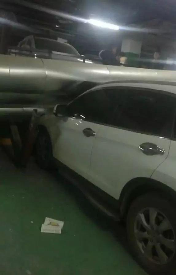 娱乐生活 第29页