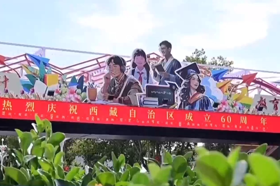 第113页
